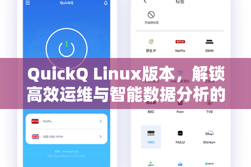 QuickQ Linux版本，解锁高效运维与智能数据分析的利器
