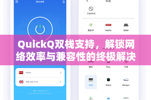 QuickQ双栈支持，解锁网络效率与兼容性的终极解决方案